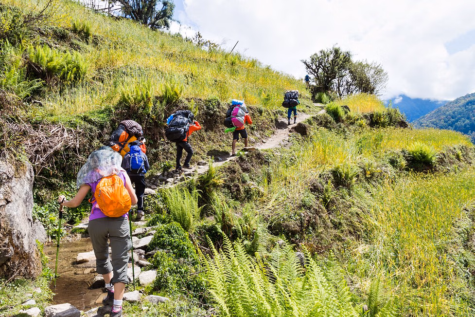 Himalayan Bloom Trail