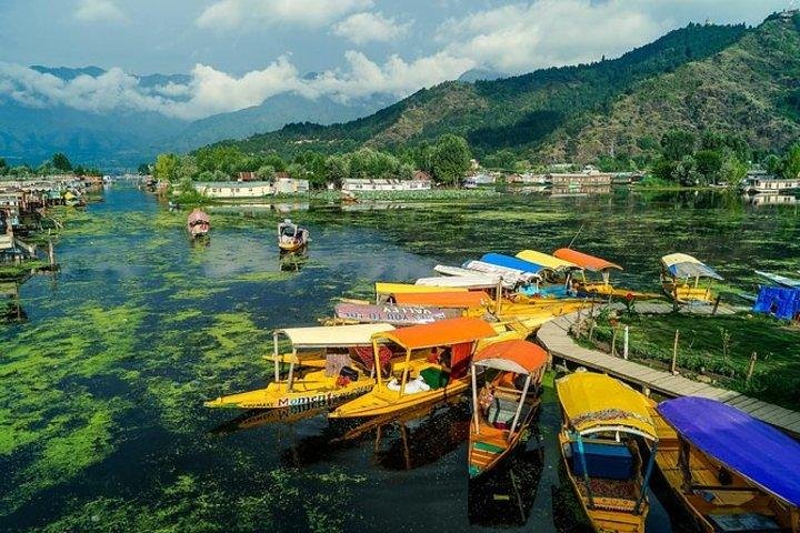 Kashmir Kaleidoscope