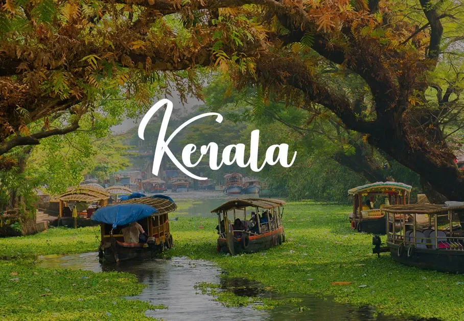 Kerala Harmony