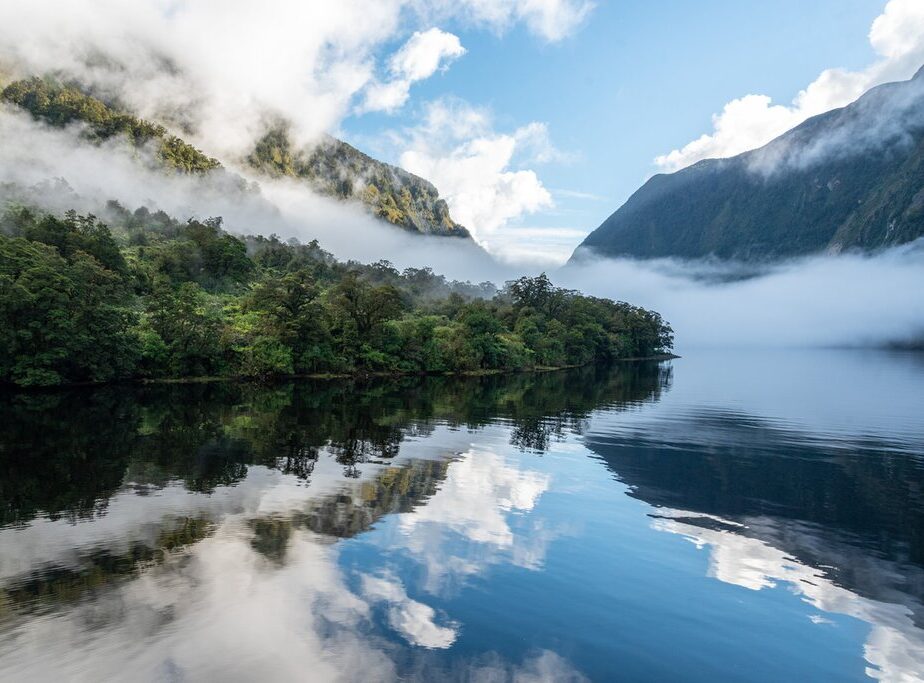 New Zealand Alpine Wonders