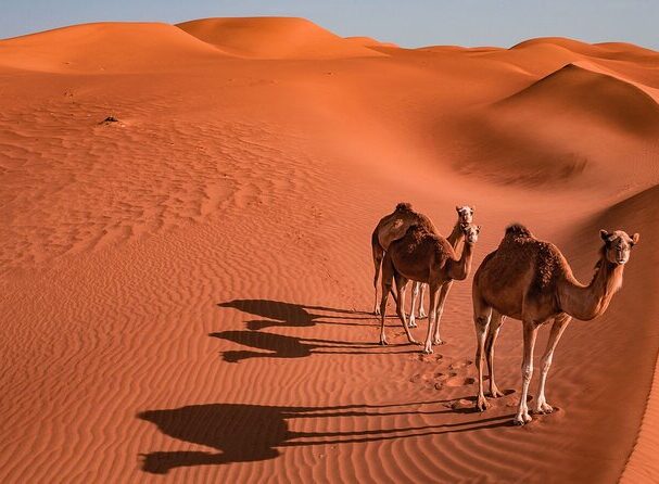 Outstanding Oman