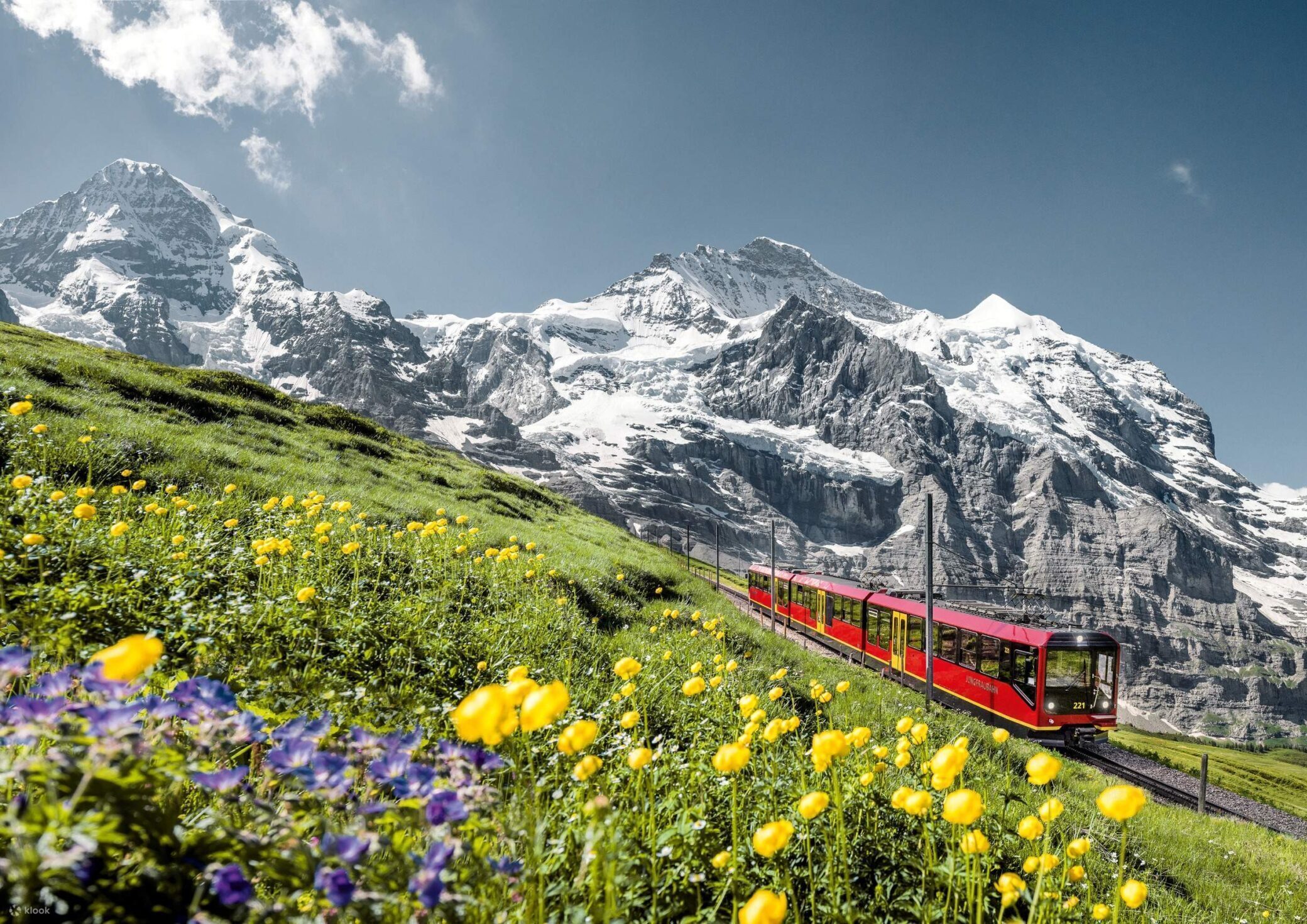 Swiss Splendor