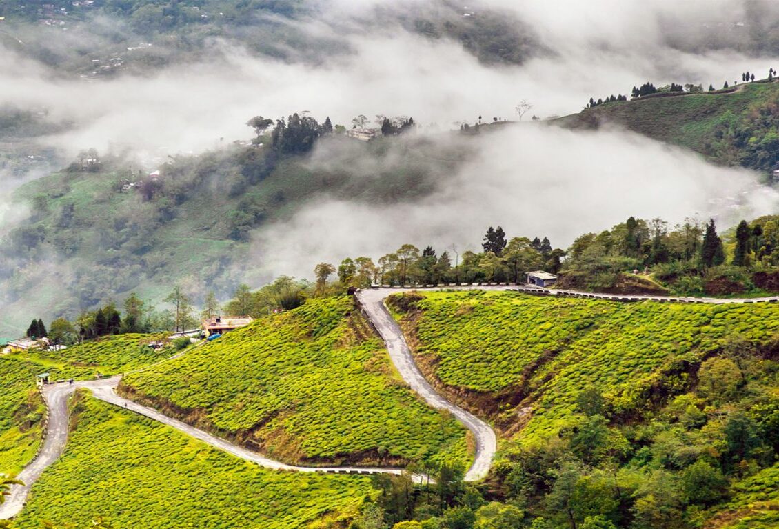 Whispers of the Hills